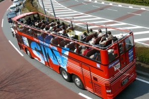 sightseeing bus2