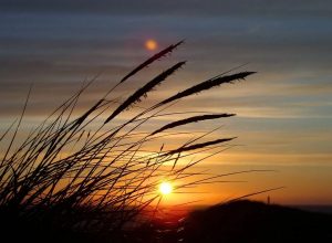 Sommerferie i Danmark