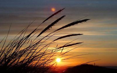 Sommerferie i Danmark