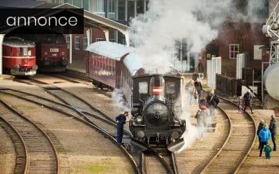 Sommerferie i Danmark: Det kan du lave